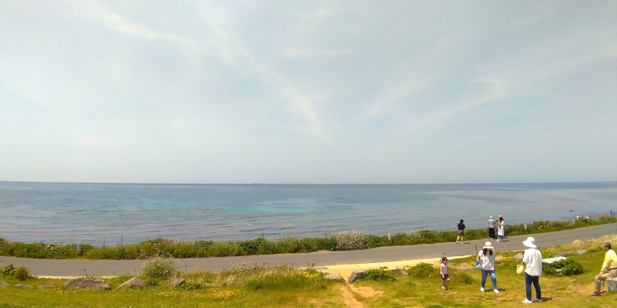 f:id:aokakes:20190507172022j:plain