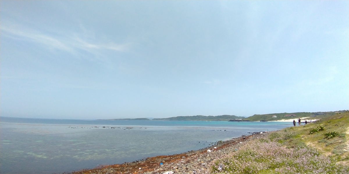 f:id:aokakes:20190507172039j:plain