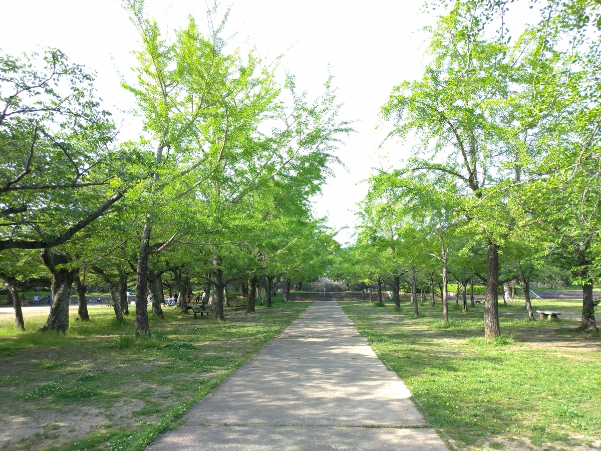 f:id:aokakes:20190507173133j:plain