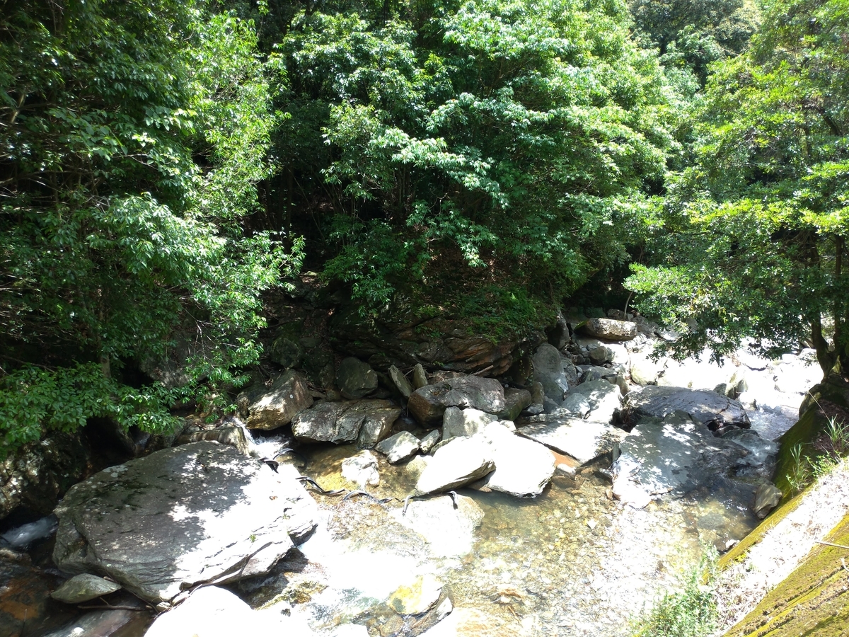 f:id:aokakes:20190728221009j:plain