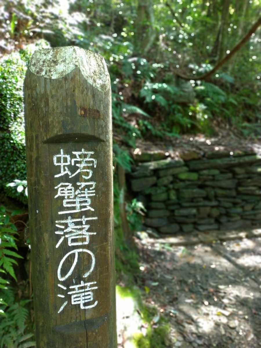 f:id:aokakes:20190728221544j:plain