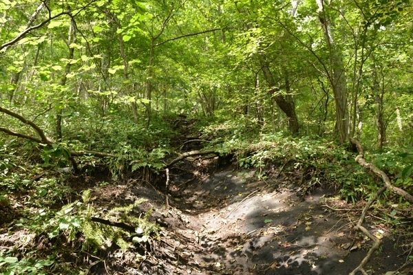 DSC_0026.JPG