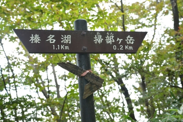 DSC_0041.JPG