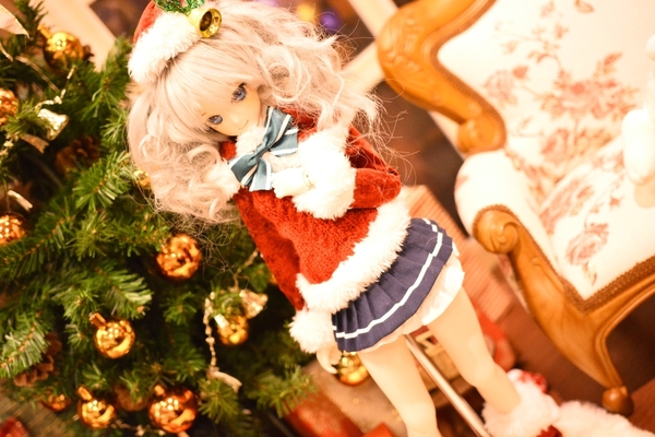 DSC_0567.JPG