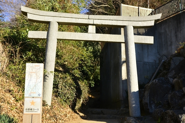 DSC_0605.JPG