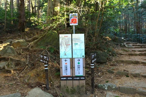 DSC_0610.JPG