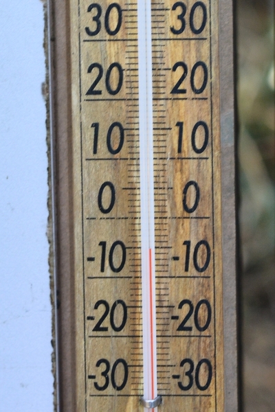 DSC_0611.JPG