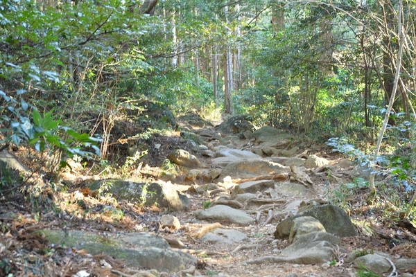 DSC_0614.JPG