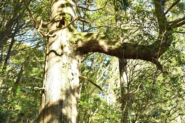 DSC_0633.JPG