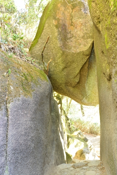 DSC_0644.JPG