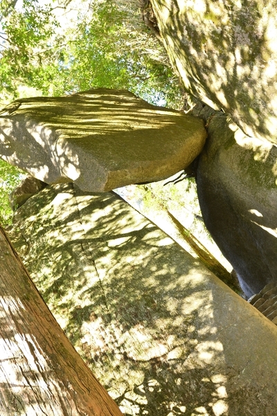 DSC_0646.JPG