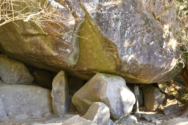 DSC_0659.JPG
