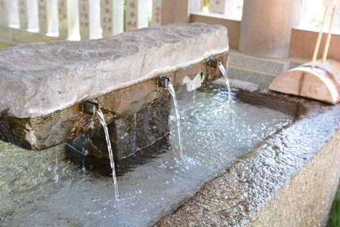 DSC_0689.JPG