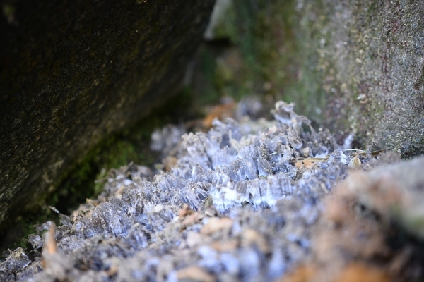 DSC_0691.JPG