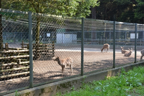 DSC_0793.JPG