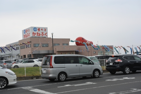 DSC_0819.JPG