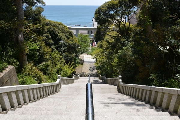 DSC_0846.JPG