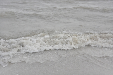 DSC_0992.JPG