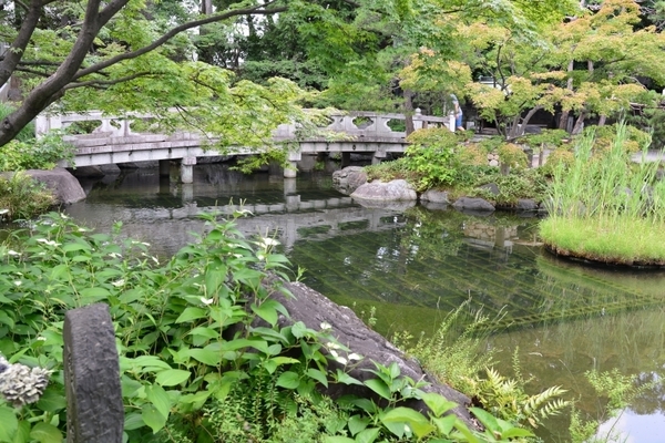 DSC_1224.JPG