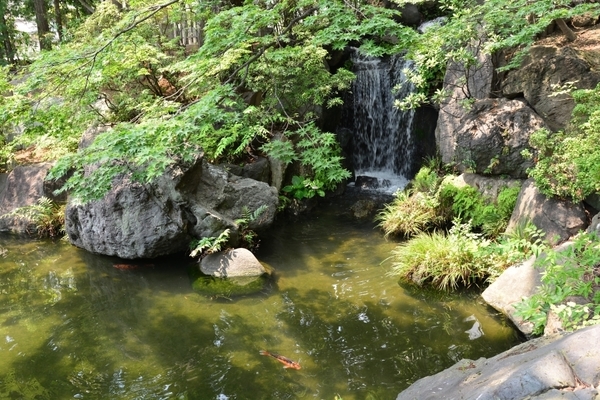 DSC_1232.JPG