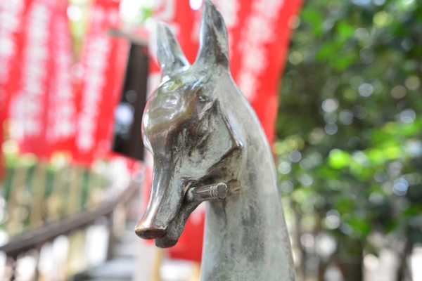 DSC_1239.JPG