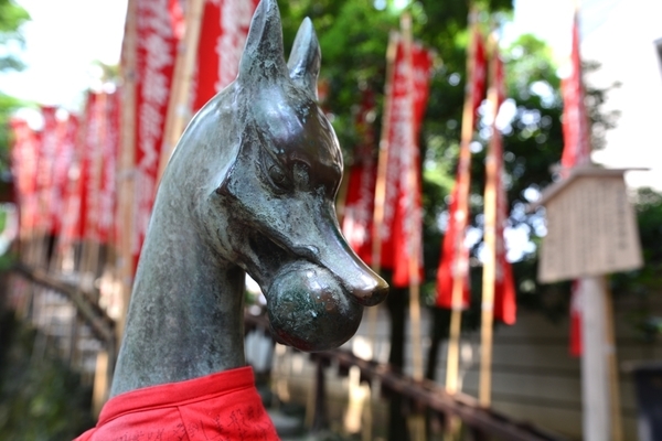 DSC_1240.JPG