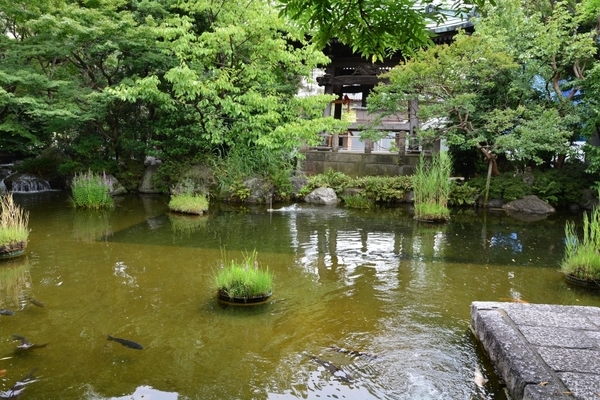DSC_1243.JPG