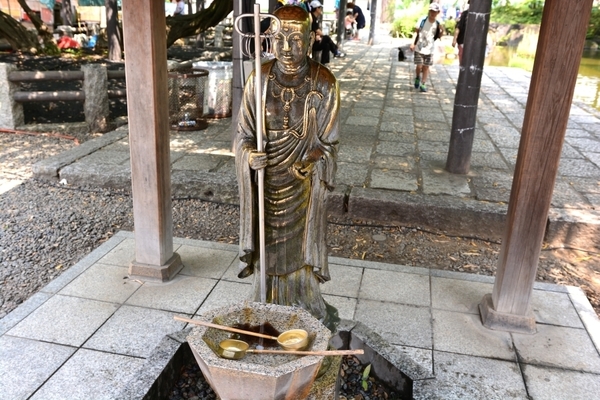DSC_1247.JPG