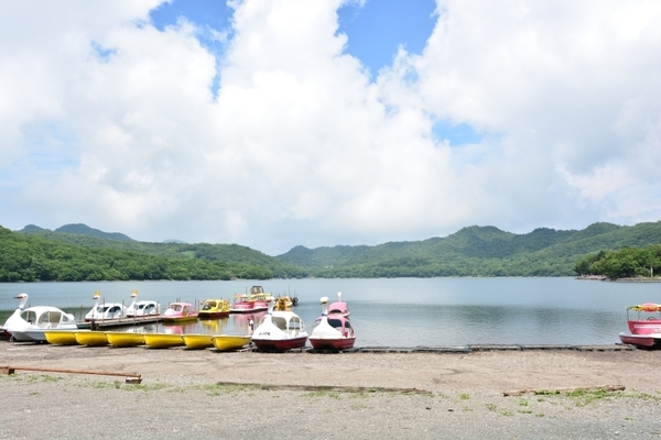 DSC_1264.JPG