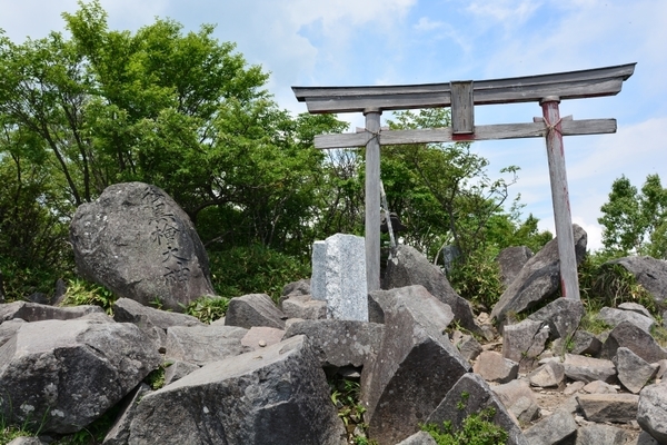 DSC_1347.JPG