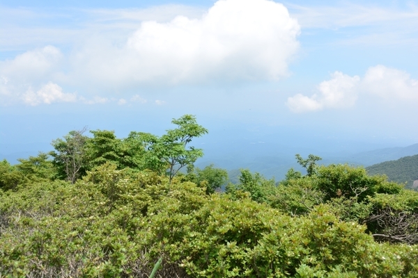 DSC_1355.JPG