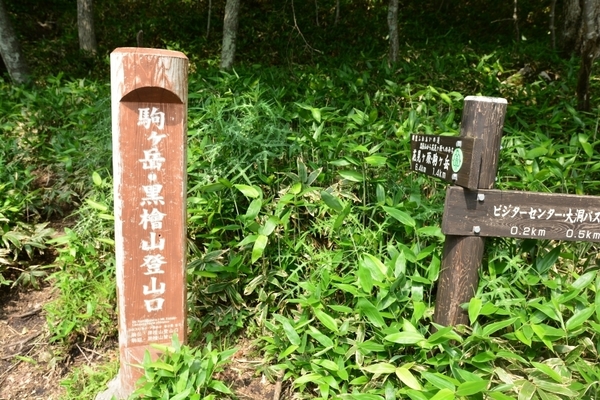 DSC_1413.JPG