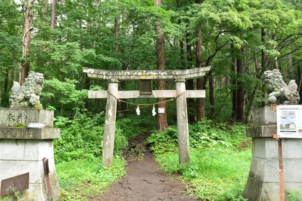 DSC_1462.JPG