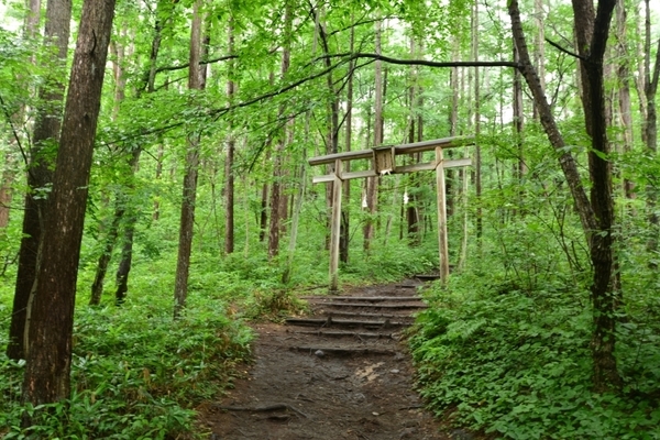 DSC_1468.JPG