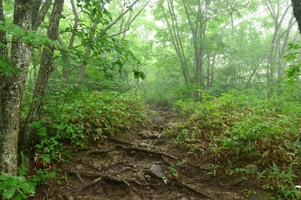 DSC_1475.JPG
