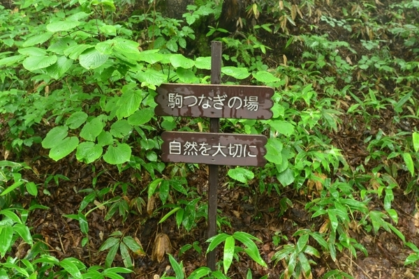 DSC_1488.JPG
