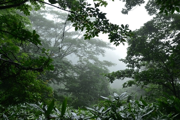 DSC_1489.JPG