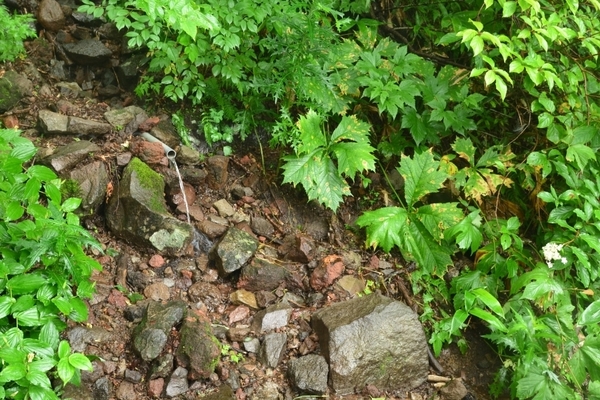 DSC_1495.JPG