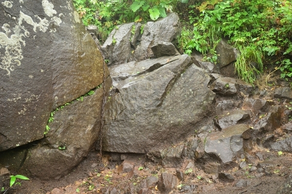 DSC_1499.JPG