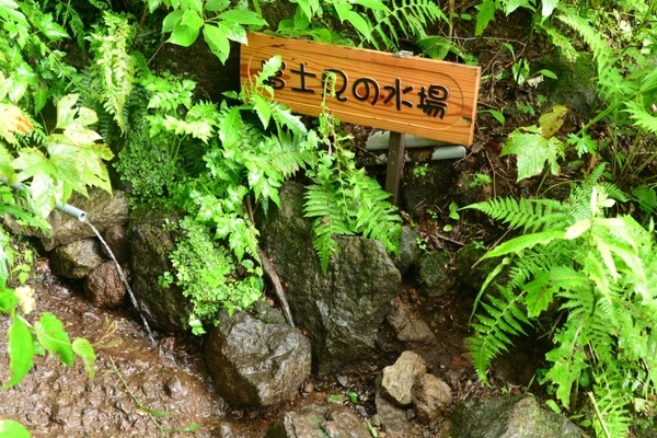DSC_1500.JPG