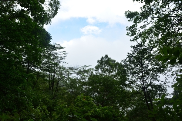 DSC_1501.JPG
