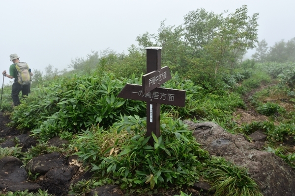 DSC_1510.JPG
