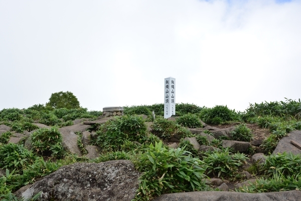 DSC_1517.JPG