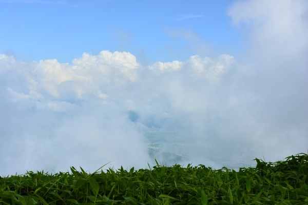DSC_1539.JPG