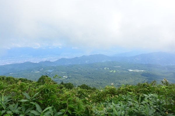 DSC_1556.JPG