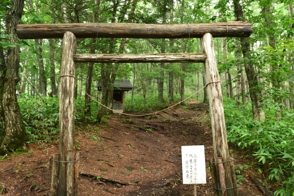 DSC_1561.JPG