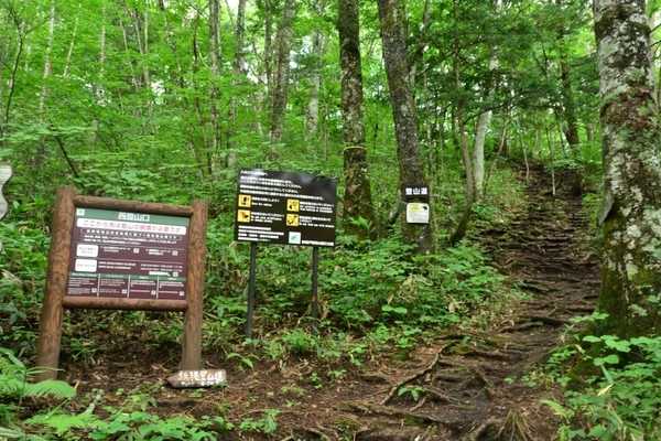 DSC_1565.JPG