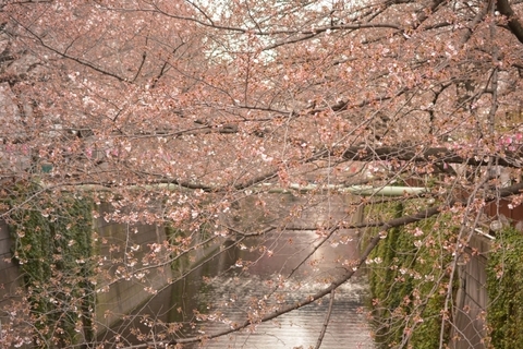 DSC_2061.JPG