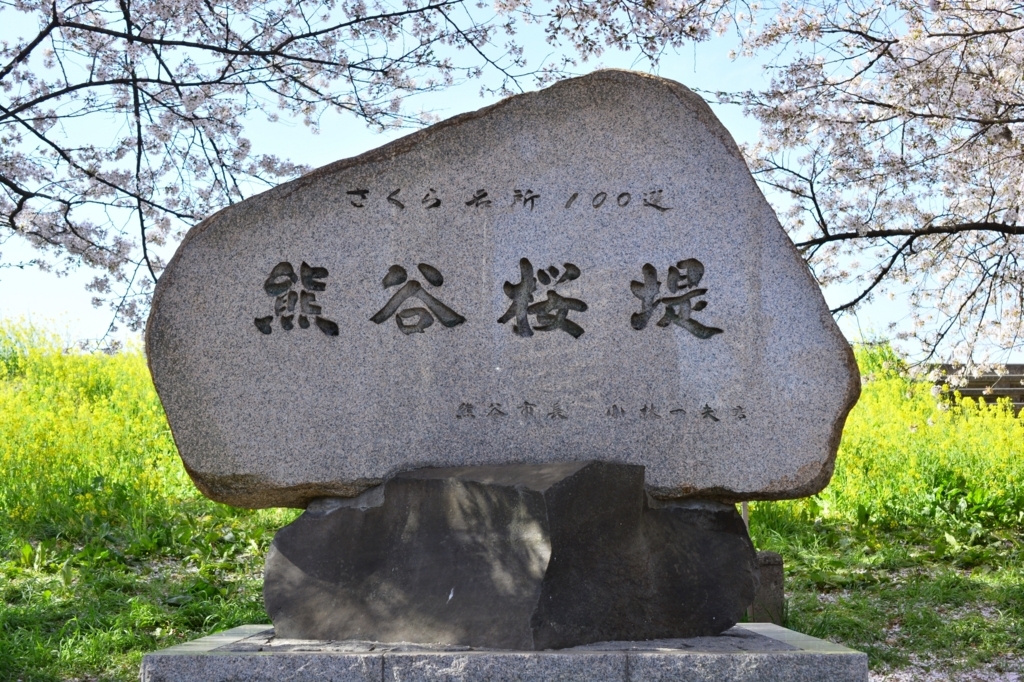 f:id:aokami:20180401133818j:plain