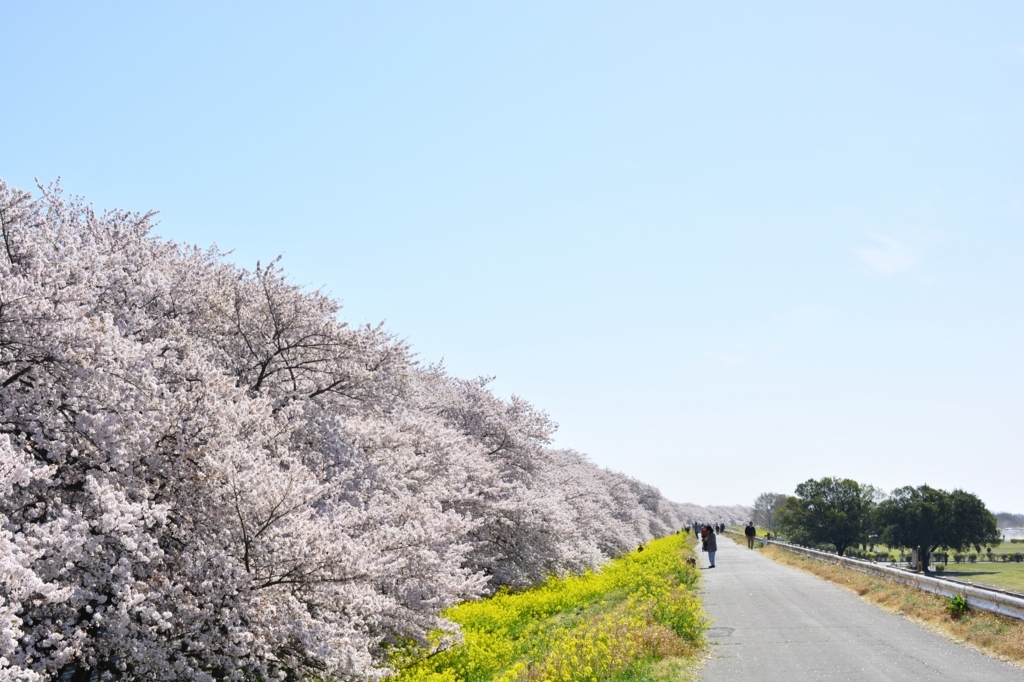 f:id:aokami:20180401134251j:plain
